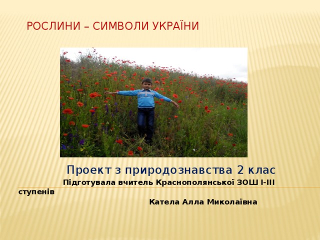 Рослини – символи України     Проект з природознавства 2 клас  Підготувала вчитель Краснополянської ЗОШ І-ІІІ ступенів  Катела Алла Миколаївна 