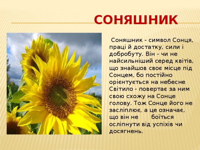  Соняшник  Соняшник - символ Сонця, праці й достатку, сили і добробуту. Він - чи не найсильніший серед квітів, що знайшов своє місце під Сонцем, бо постійно орієнтується на небесне Світило - повертає за ним свою схожу на Сонце голову. Тож Сонце його не засліплює, а це означає, що він не боїться осліпнути від успіхів чи досягнень.  