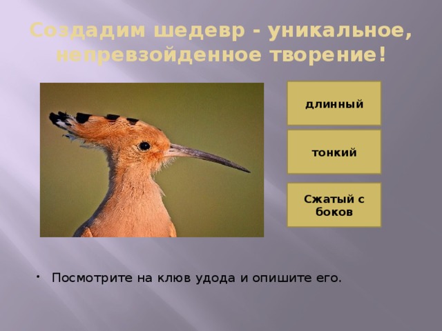 Создадим шедевр - уникальное, непревзойденное творение! длинный тонкий Сжатый с боков Посмотрите на клюв удода и опишите его. 