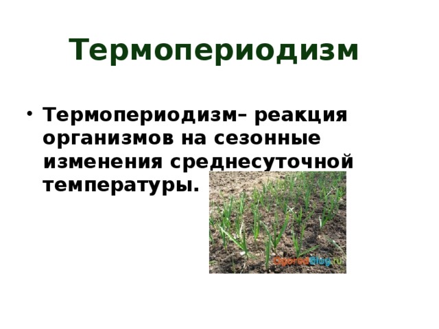 Термопериодизм Термопериодизм– реакция организмов на сезонные изменения среднесуточной температуры. 