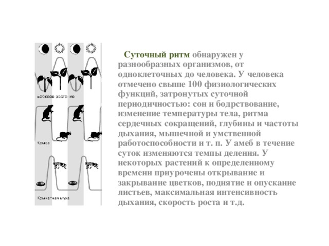 Суточная периодичность освещенности показанная на рисунке является примером