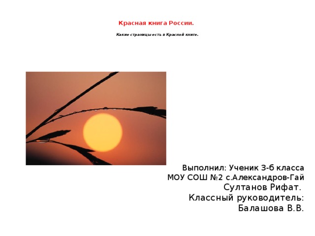  Красная книга России.   Какие страницы есть в Красной книге. Выполнил: Ученик 3-б класса МОУ СОШ №2 с.Александров-Гай Султанов Рифат. Классный руководитель: Балашова В.В. 
