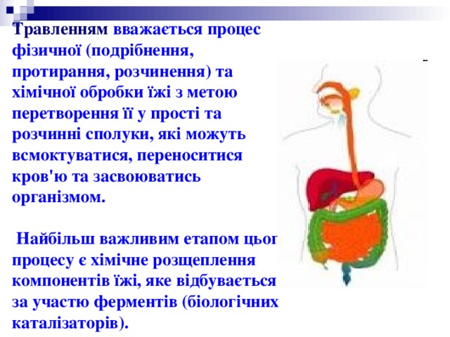 Травленням  вважається процес фізичної (подрібнення, протирання, розчинення) та хімічної обробки їжі з метою перетворення її у прості та розчинні сполуки, які можуть всмоктуватися, переноситися кров'ю та засвоюватись організмом.   Найбільш важливим етапом цього процесу є хімічне розщеплення компонентів їжі, яке відбувається за участю ферментів (біологічних каталізаторів). 