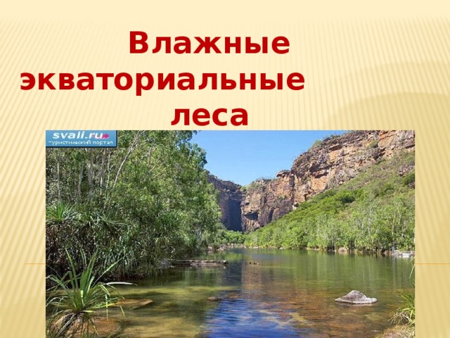 Влажные экваториальные леса  