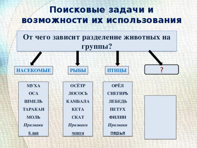  Поисковые задачи и возможности их использования От чего зависит разделение животных на группы? ? НАСЕКОМЫЕ РЫБЫ ПТИЦЫ МУХА ОРЁЛ ОСЁТР ЛОСОСЬ ОСА СНЕГИРЬ ШМЕЛЬ ЛЕБЕДЬ КАМБАЛА КЕТА ТАРАКАН ПЕТУХ МОЛЬ ФИЛИН СКАТ Признаки Признаки Признаки перья 6 лап чешуя 