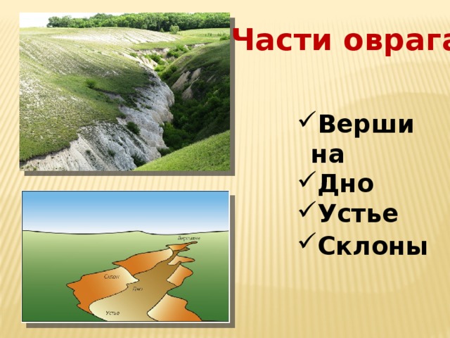 Части оврага Вершина Дно Устье Склоны  