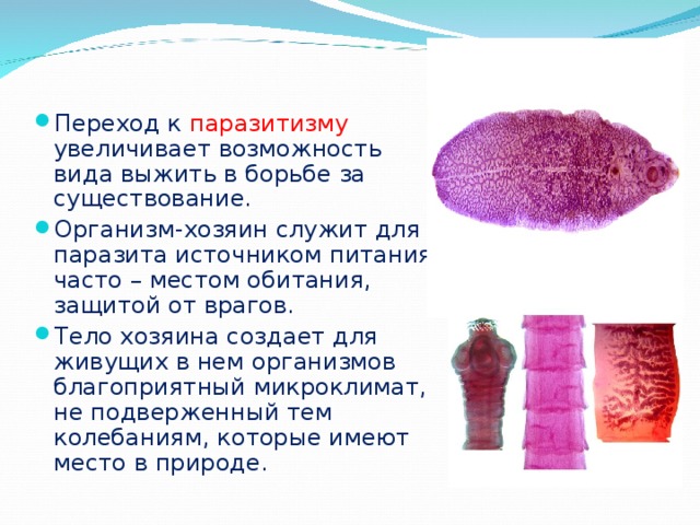 Переход к паразитизму увеличивает возможность вида выжить в борьбе за существование. Организм-хозяин служит для паразита источником питания, часто – местом обитания, защитой от врагов. Тело хозяина создает для живущих в нем организмов благоприятный микроклимат, не подверженный тем колебаниям, которые имеют место в природе. 