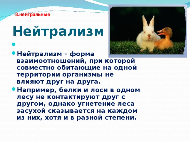 Ответы Mail.ru: имея судебный приказ что выплачивается в первую очередь налоги и