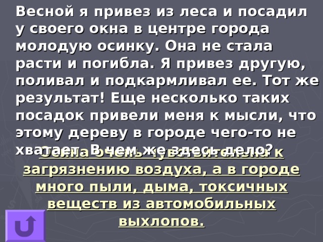  Весной я привез из леса и посадил у своего окна в центре города молодую осинку. Она не стала расти и погибла. Я привез другую, поливал и подкармливал ее. Тот же результат! Еще несколько таких посадок привели меня к мысли, что этому дереву в городе чего-то не хватает. В чем же здесь дело? Осина очень чувствительна к загрязнению воздуха, а в городе много пыли, дыма, токсичных веществ из автомобильных выхлопов. 