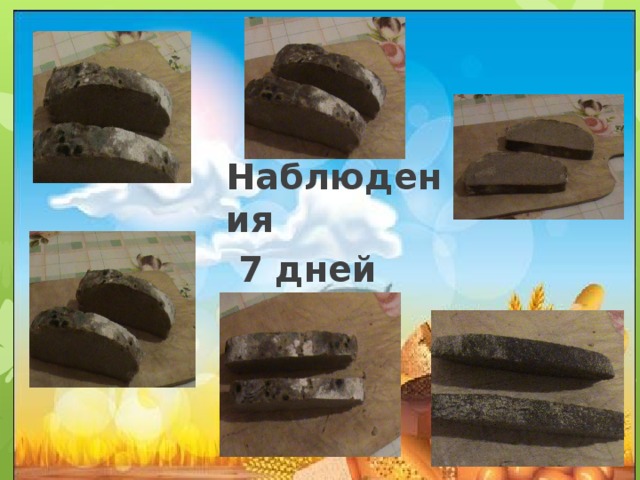 Наблюдения  7 дней 