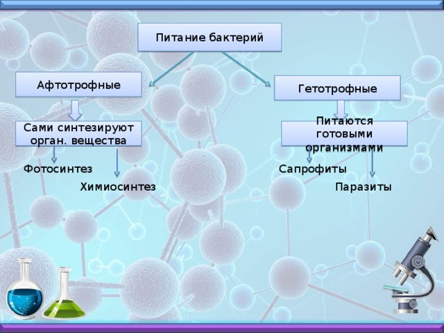 Вспомним Что такое бактерии? Бактерии- это древнейшие из известных организмов. Следы бактерий были зафиксированный в Архейской эре Строение бактерий Форма бактерий Питание бактерий 