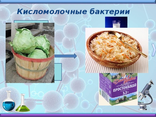 Азотофиксирующие бактерии Поглощают азот из воздуха. Клубеньковые бактерии вступают в симбиоз с бобовыми растениями. 