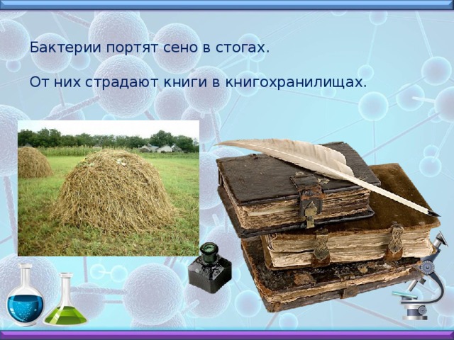 Различные виды бактерий вызывают порчу пищевых продуктов.  Ботулизм — заболевание, вызываемое, продуктами, зараженными палочками ботулизма.   