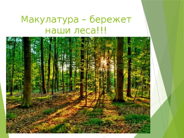 Макулатура – бережет наши леса!!! 