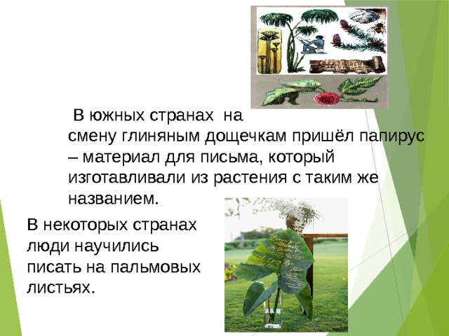   В южных странах на смену глиняным дощечкам пришёл папирус – материал для письма, который изготавливали из растения с таким же названием. В некоторых странах люди научились писать на пальмовых листьях. 