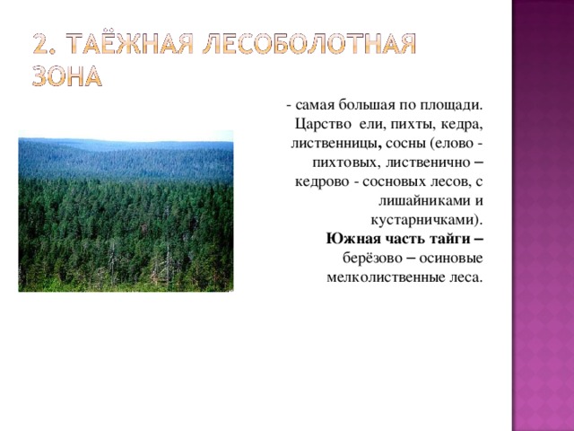 - самая большая по площади. Царство ели, пихты, кедра, лиственницы , сосны (елово - пихтовых, лиственично – кедрово - сосновых лесов, с лишайниками и кустарничками). Южная часть тайги –  берёзово – осиновые мелколиственные леса. 