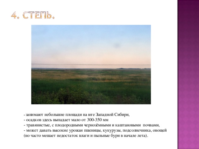 - занимают небольшие площади на юге Западной Сибири, - осадков здесь выпадает мало от 300-350 мм - травянистые, с плодородными чернозёмными и каштановыми почвами, - может давать высокие урожаи пшеницы, кукурузы, подсолнечника, овощей (но часто мешает недостаток влаги и пыльные бури в начале лета). 
