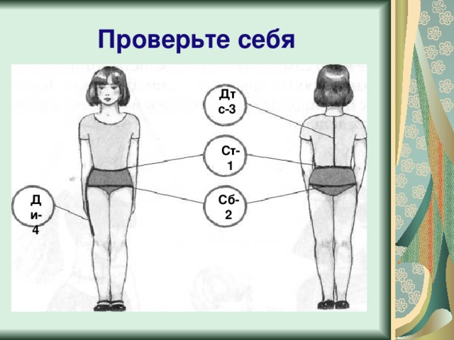 Проверьте себя Дтс-3 Ст-1 Ди-4 Сб-2 
