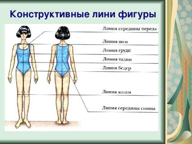 Конструктивные лини фигуры 
