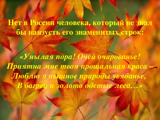 Нет в России человека, который не знал бы наизусть его знаменитых строк:  «Унылая пора! Очей очарованье!  Приятна мне твоя прощальная краса –  Люблю я пышное природы увяданье,  В багрец и золото одетые леса…»   