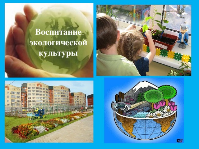 Проекты по формированию экологической культуры