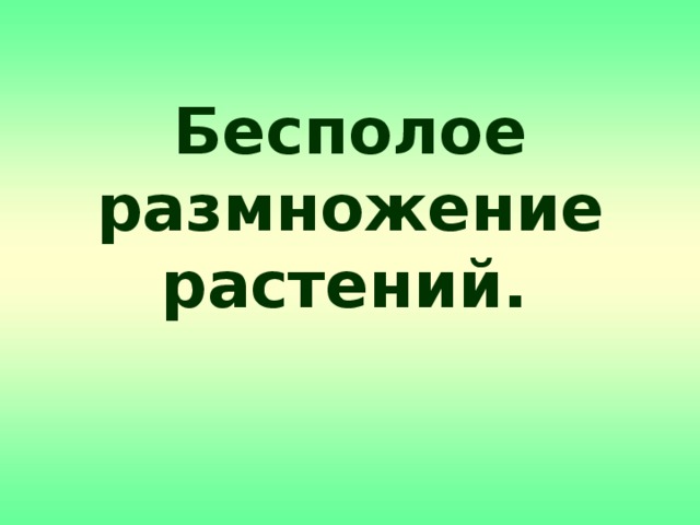 Бесполое размножение растений.  