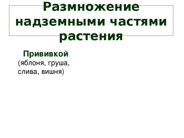 Размножение надземными частями растения  Прививкой  (яблоня, груша, слива, вишня)    