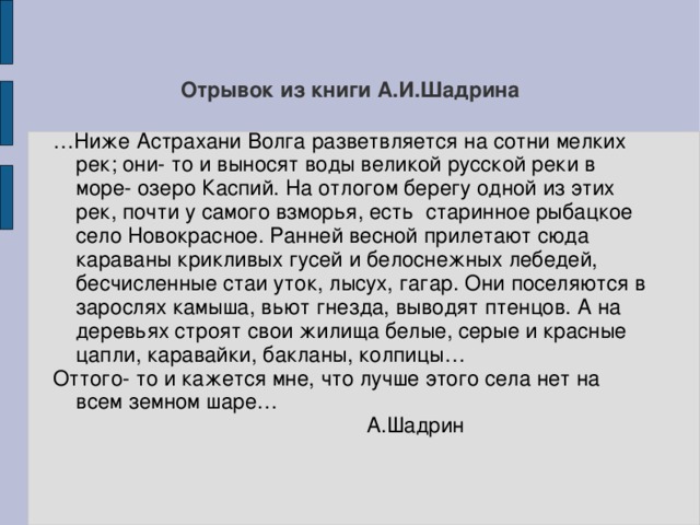 Отрывок из книги А.И.Шадрина … Ниже Астрахани Волга разветвляется на сотни мелких рек; они- то и выносят воды великой русской реки в море- озеро Каспий. На отлогом берегу одной из этих рек, почти у самого взморья, есть старинное рыбацкое село Новокрасное. Ранней весной прилетают сюда караваны крикливых гусей и белоснежных лебедей, бесчисленные стаи уток, лысух, гагар. Они поселяются в зарослях камыша, вьют гнезда, выводят птенцов. А на деревьях строят свои жилища белые, серые и красные цапли, каравайки, бакланы, колпицы… Оттого- то и кажется мне, что лучше этого села нет на всем земном шаре…  А.Шадрин 