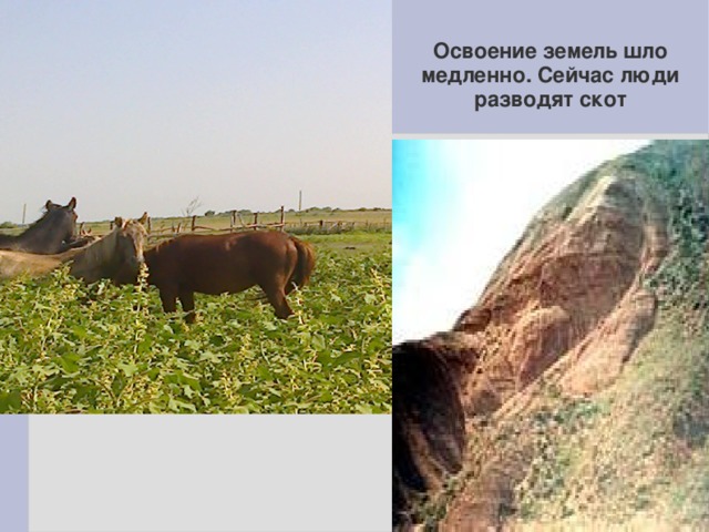Освоение земель шло медленно. Сейчас люди разводят скот 