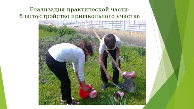Реализация практической части: благоустройство пришкольного участка 
