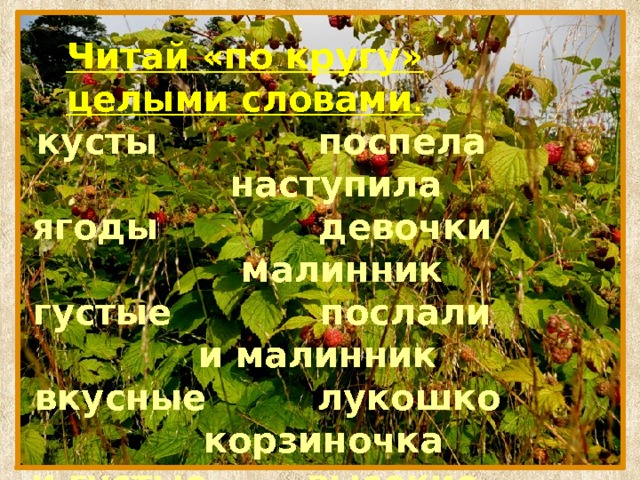 Читай «по кругу» целыми словами . кусты поспела наступила ягоды девочки малинник густые послали и малинник вкусные лукошко корзиночка и густые высокие половина с полным красные помощница пришли крупные жаркое  