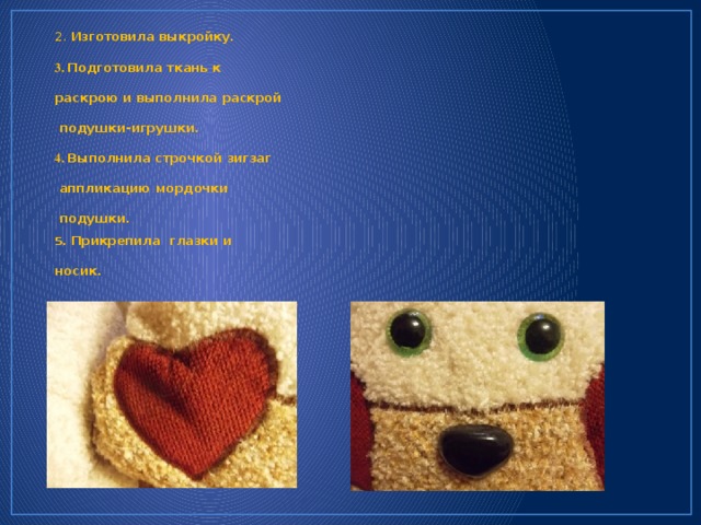 Творческий проект по технологии 5 класс подушка