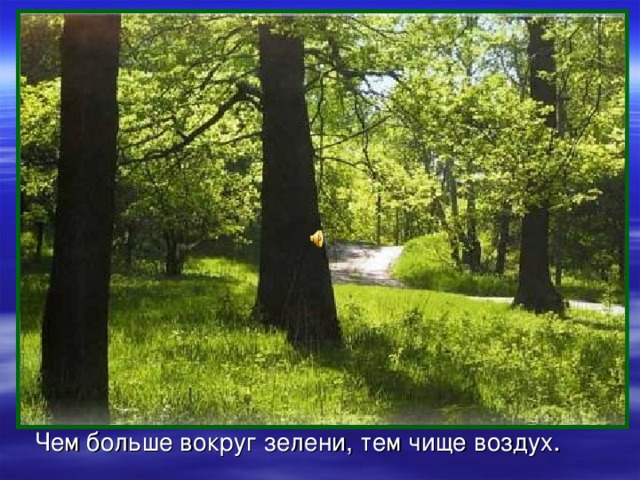 Отчего загрязняется воздух? 