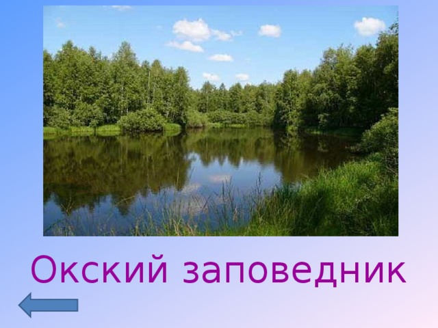 Окский заповедник 