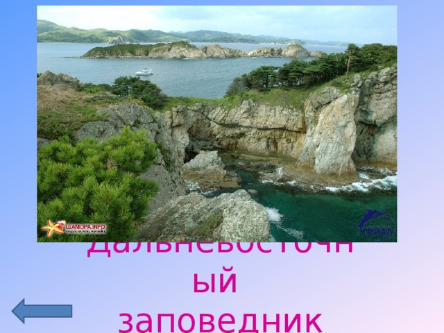 Дальневосточный заповедник 