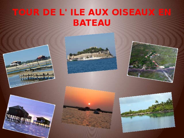 TOUR DE L' ILE AUX OISEAUX EN BATEAU 