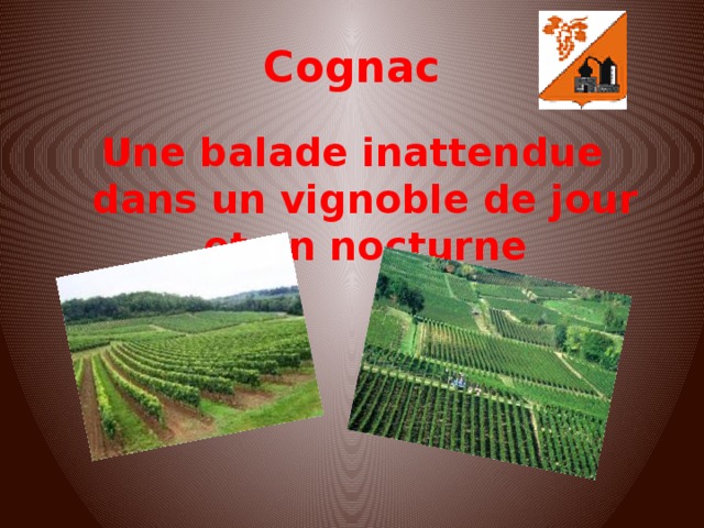 Cognac Une balade inattendue dans un vignoble de jour et en nocturne 