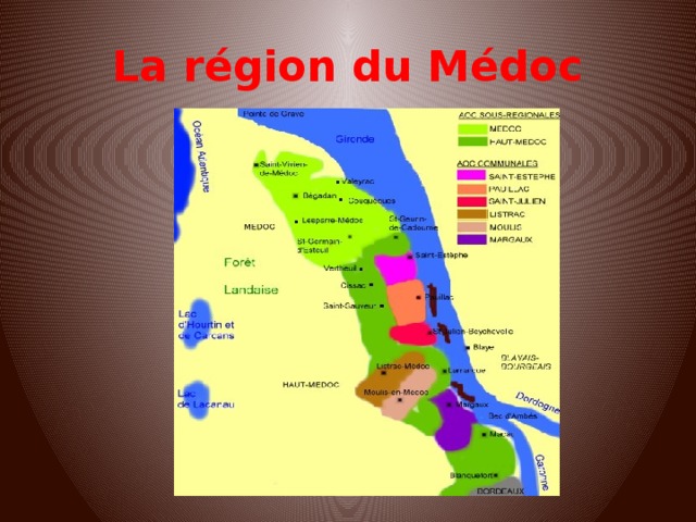 La région du Médoc 
