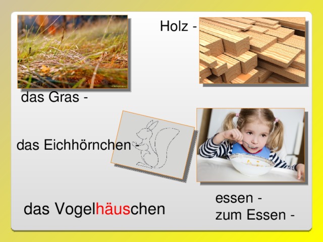 Holz - das Gras - das Eichhörnchen - essen - zum Essen - das Vogel häus chen 