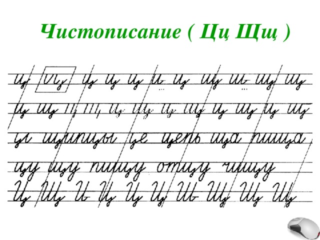 Чистописание ( Цц Щщ ) 