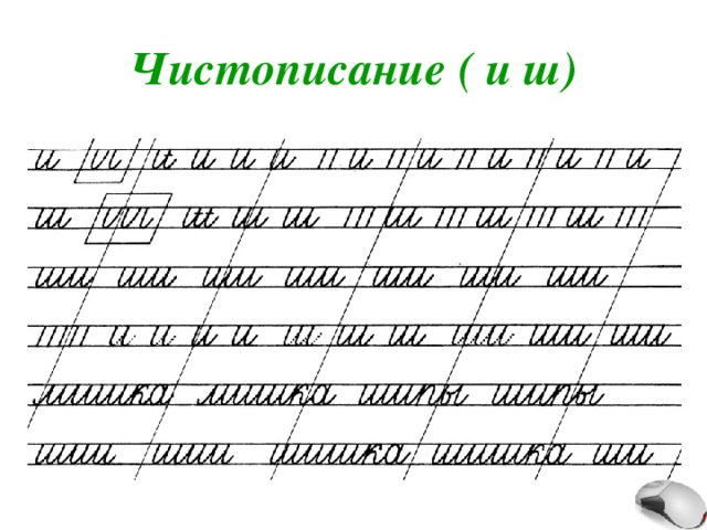 Чистописание ( и ш) 