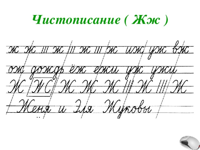 Чистописание ( Жж ) 