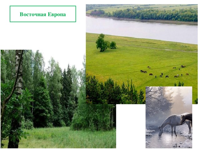 Восточная Европа  