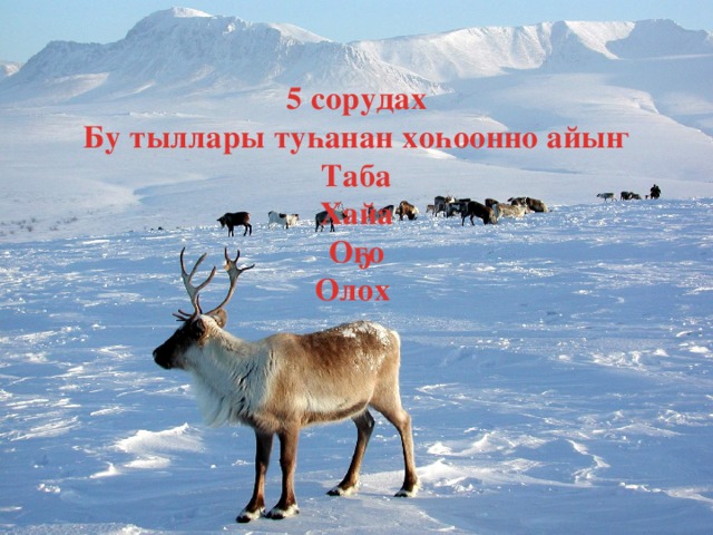5 сорудах Бу тыллары туһанан хоһоонно айыҥ Таба Хайа Оҕо Олох  