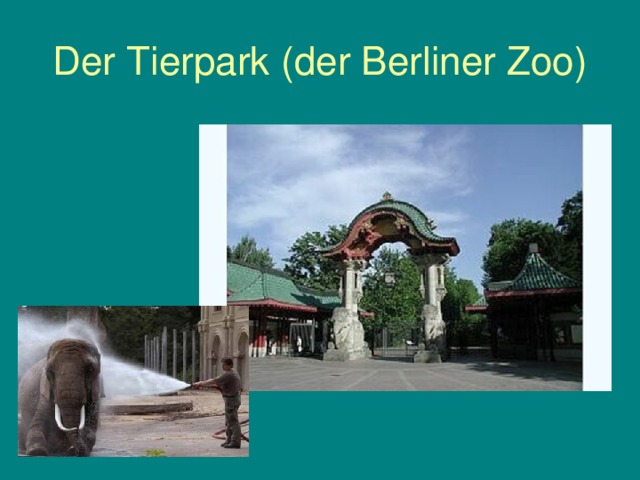 Der Tierpark ( der Berliner Zoo)