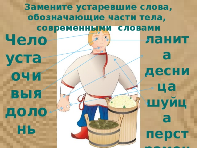 Устаревшее название жизни. Устаревшие названия частей тела. Устаревшие слова обозначающие части тела. Чело это устаревшее слово. Названия частей тела на старославянском языке.