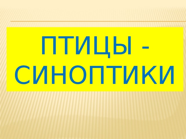 ПТИЦЫ - СИНоПТИКИ 