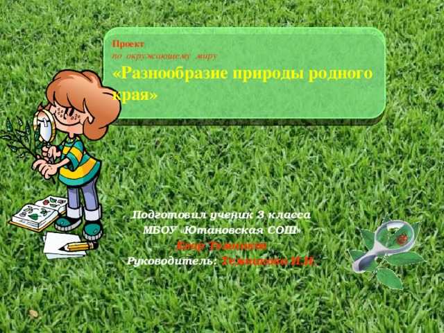 Разнообразие природы родного края проект по окружающему миру 3
