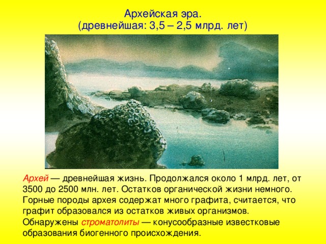 Архейская эра. (древнейшая: 3,5 – 2,5 млрд. лет) Архей — древнейшая жизнь. Продолжался около 1 млрд. лет, от 3500 до 2500 млн. лет. Остатков органической жизни немного. Горные породы архея содержат много графита, считается, что графит образовался из остатков живых организмов. Обнаружены строматолиты — конусообразные известковые образования биогенного происхождения.