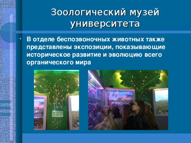 Презентация экскурсия в магазин